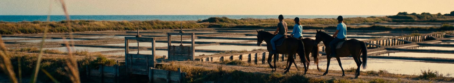 Découverte de l’île d’Oléron